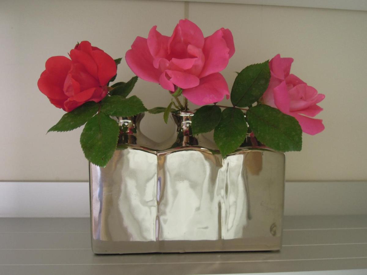Stella Maris Apartment Umag